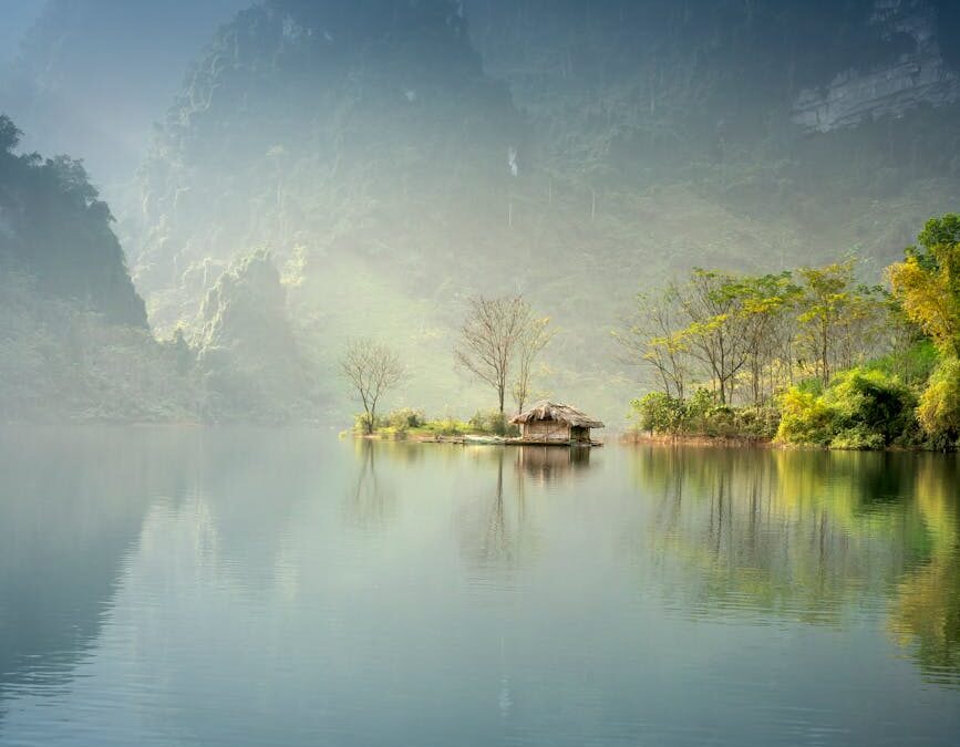 foggy lake